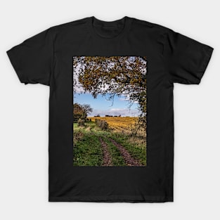 Autumn 2020 T-Shirt